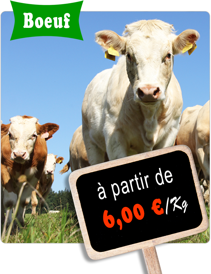 Viande boeuf halal AMOS SERVICES Destockage Grossiste