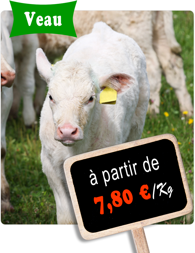 Livraison à domicile viande halal veau gros et demi-gros